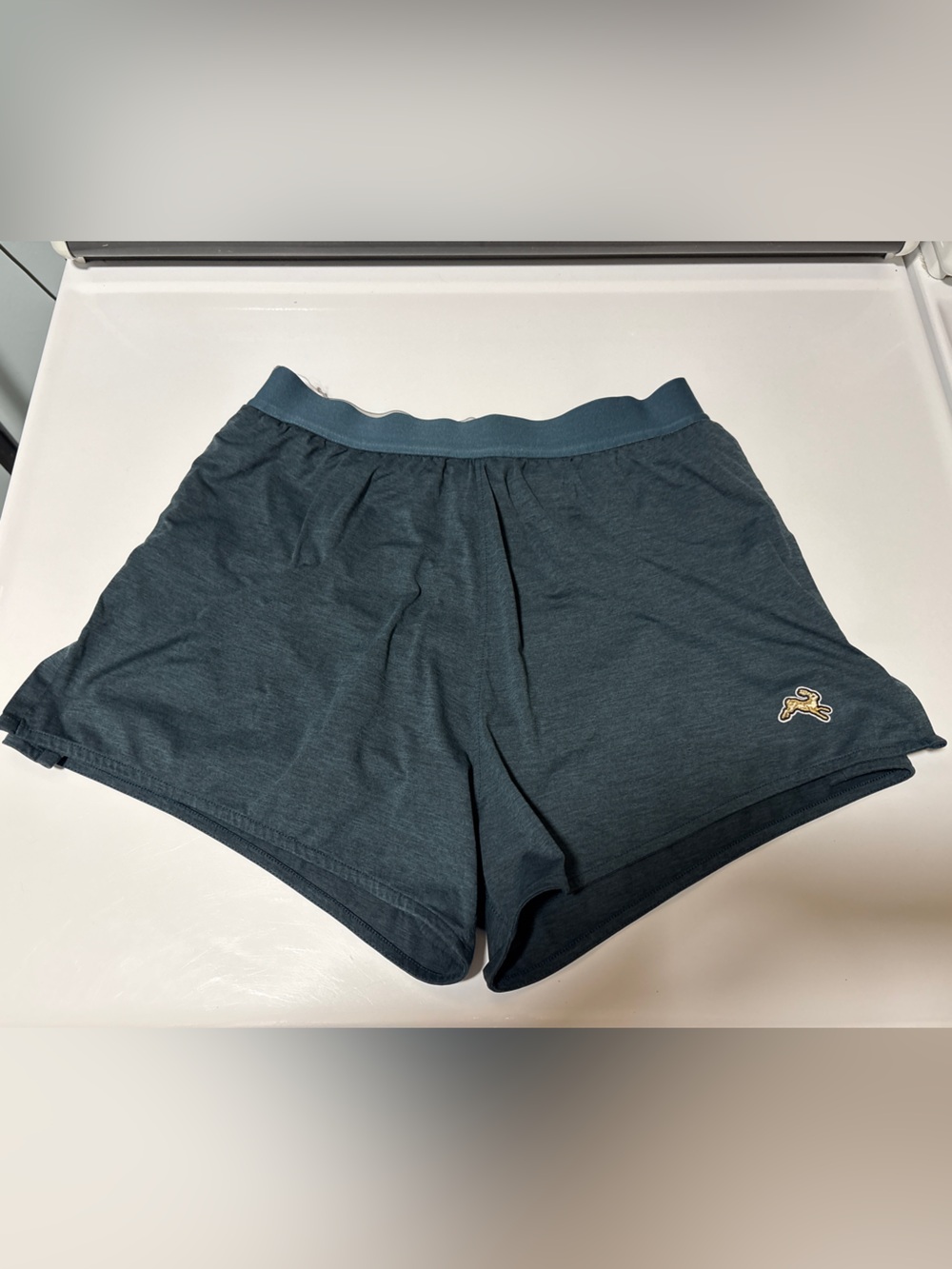 tracksmith session shorts women’s M
